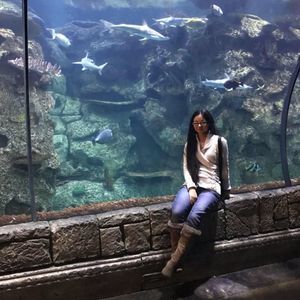 Meet your Posher, Iris